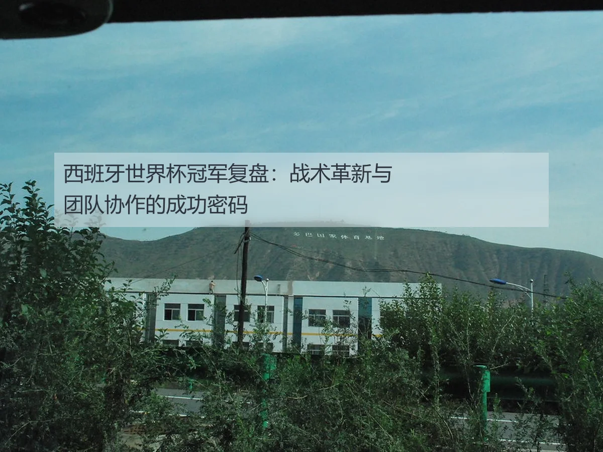 西班牙世界杯冠军复盘：战术革新与团队协作的成功密码